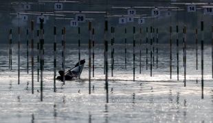 2019 ICF Canoe Slalom World Cup 5 Prague Training