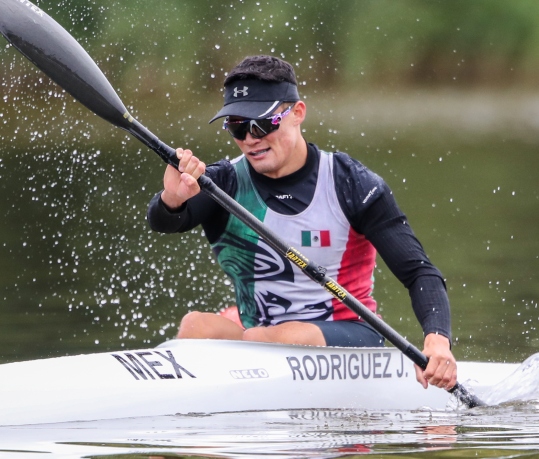 RODRIGUEZ