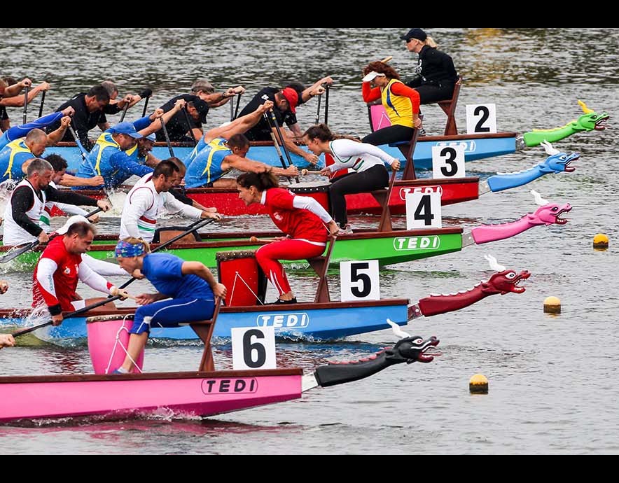 Dragon Boat Race