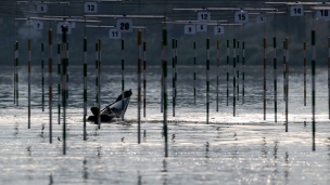 2019 ICF Canoe Slalom World Cup 5 Prague Training