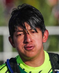 gael_caislean