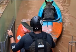 Brazil flooding Rio Grande do Sul 2024 canoe kayak