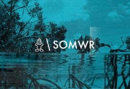 SOMWR Movement