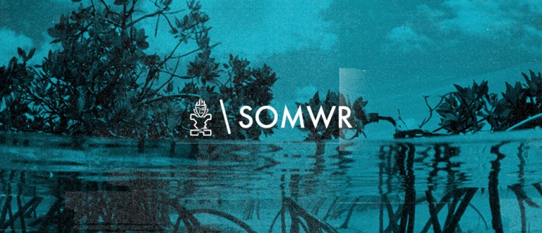 SOMWR Movement