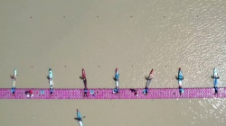 Sup Master 40+ Women Sprint Final B / 2023 ICF Stand Up Paddling (SUP) World Championships