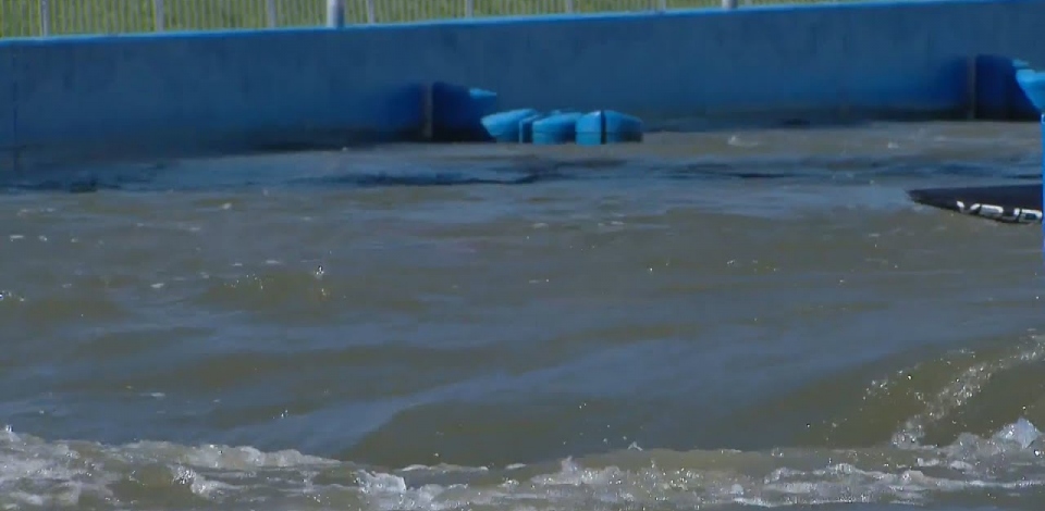 Elena Borghi, Italy, Canoe Slalom Semi Final / 2024 ICF Canoe Slalom World Cup Krakow Poland