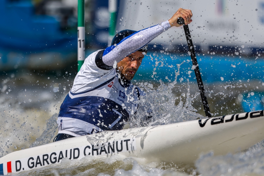 Denis Gargaud Chanut